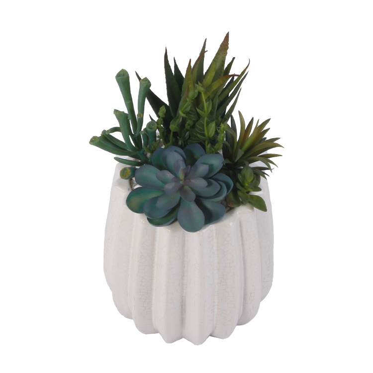 Home-Decor-Artificial-Mini-Succulent-with-Pot-Artificial-Plant-Succulents-for-Home-Decoration (5).jpg